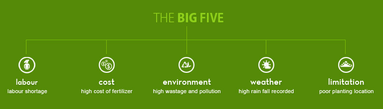 big five