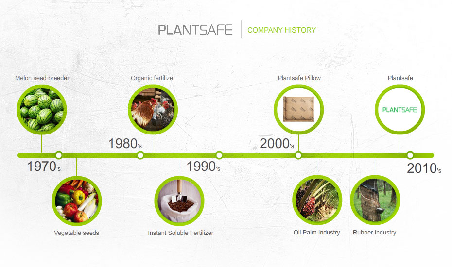 companyhistory
